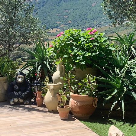 אפייטו Residence Paradisu Ajaccio מראה חיצוני תמונה