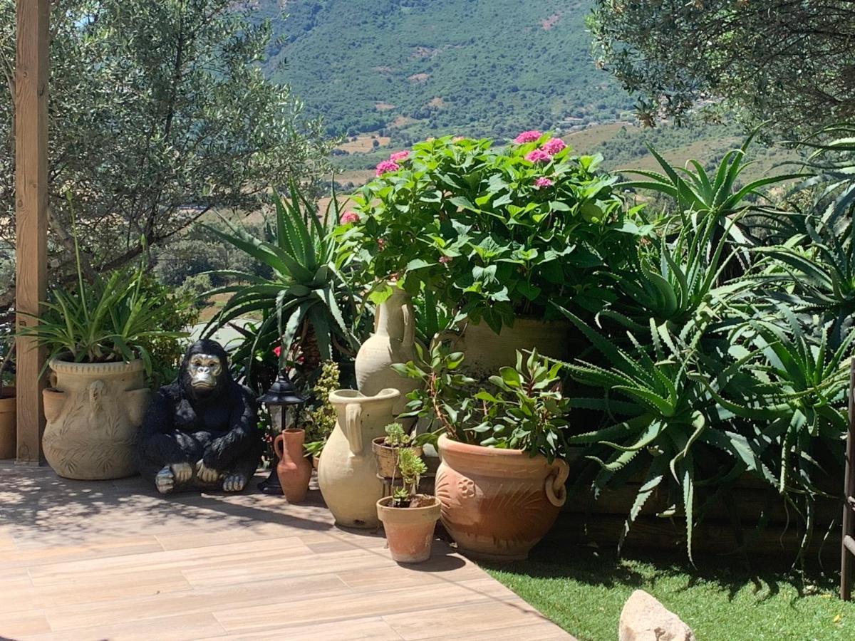 אפייטו Residence Paradisu Ajaccio מראה חיצוני תמונה