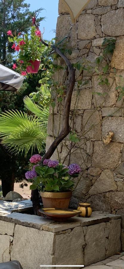 אפייטו Residence Paradisu Ajaccio מראה חיצוני תמונה