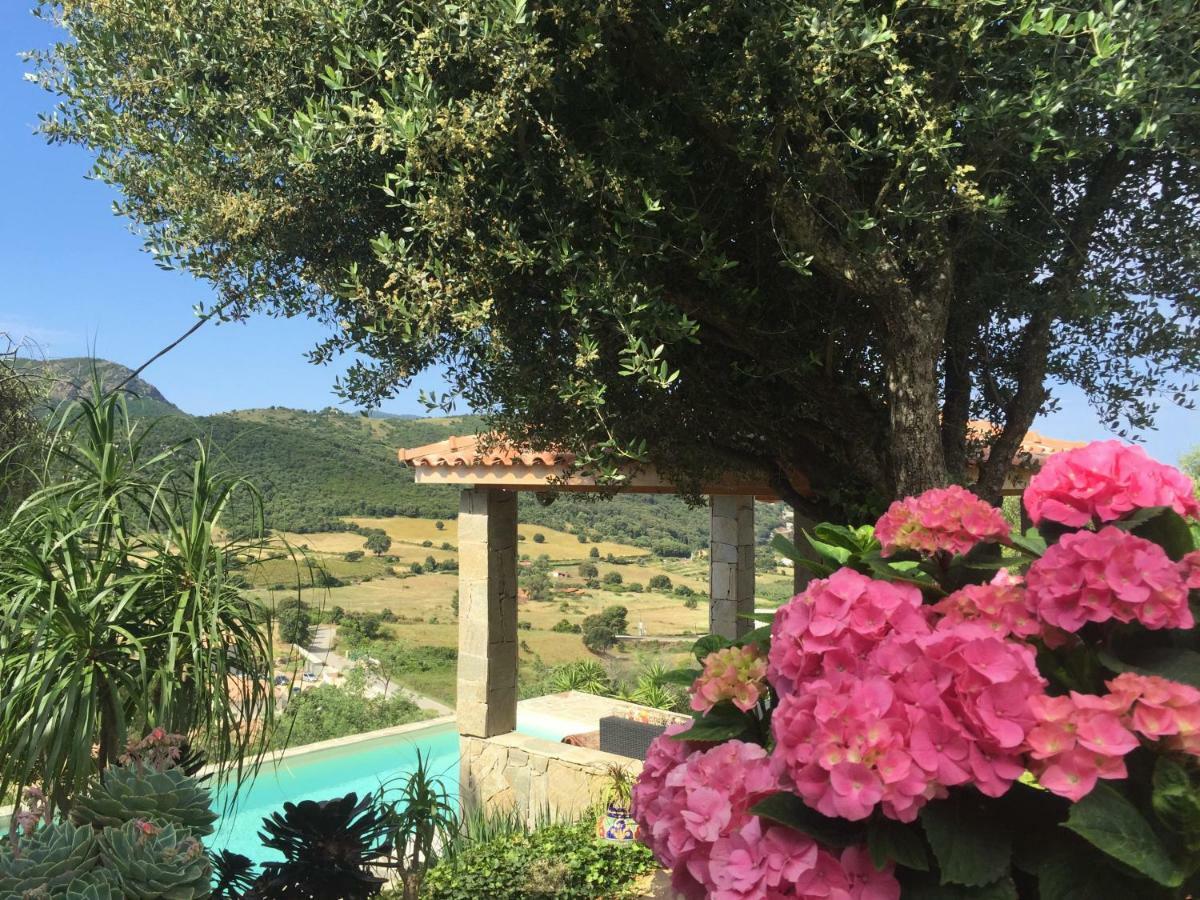 אפייטו Residence Paradisu Ajaccio מראה חיצוני תמונה