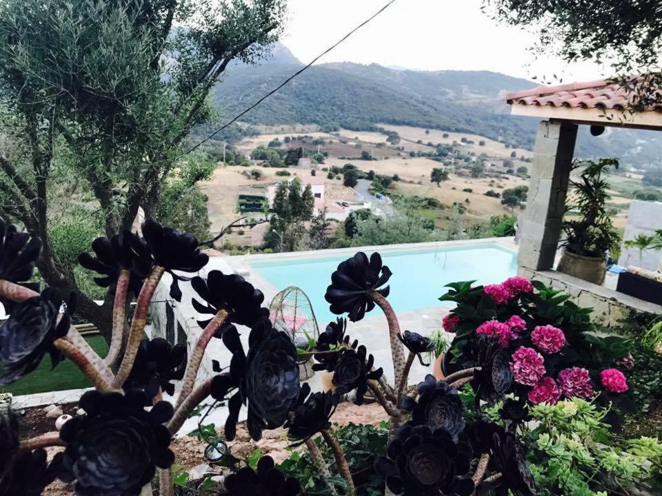 אפייטו Residence Paradisu Ajaccio מראה חיצוני תמונה