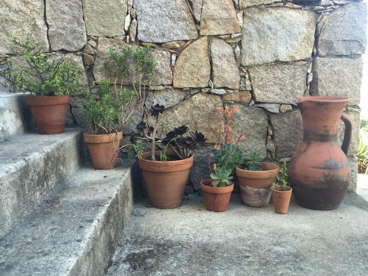 אפייטו Residence Paradisu Ajaccio מראה חיצוני תמונה
